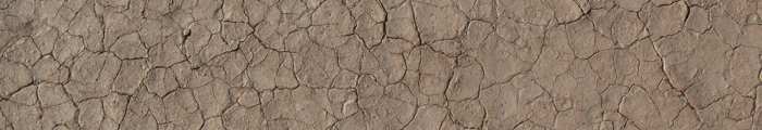 desertification