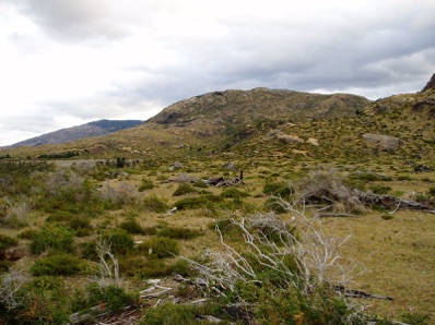 dead valley Leones