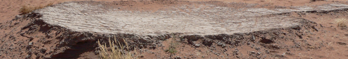 Geological map lake Carrera