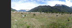 stony steppe