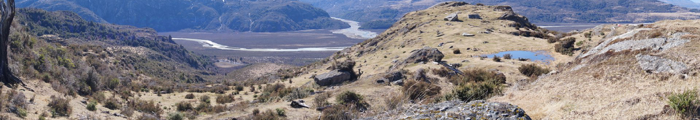valle Leones Aysen Chile