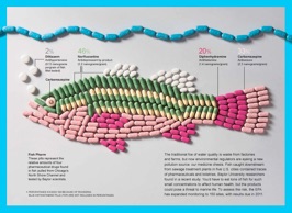 synthetic fish