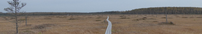 zapovednik